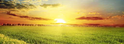 screen-shot-2016-12-23-at-12-05-45-pm